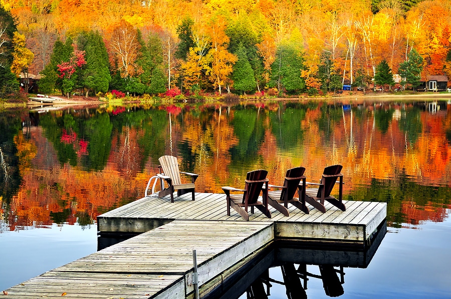 Wooden dock on autumn lake 5359940