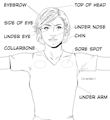 Body-Points-225x245