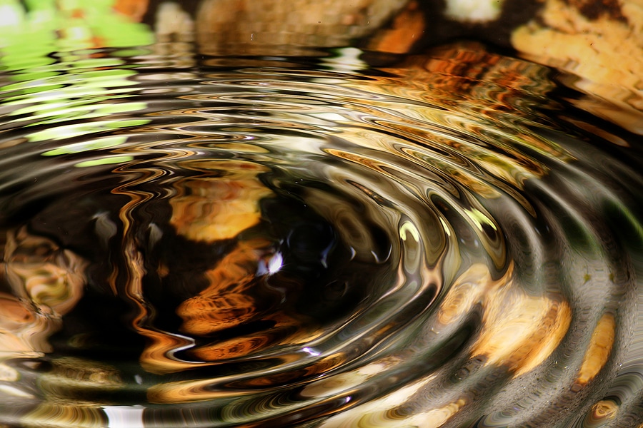 Water ripples in a pond 2789783