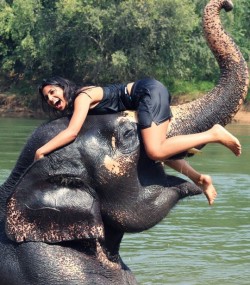 Playing-with-an-elephant_1