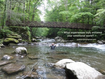 Lifestyle Explorers ~ Emotional World