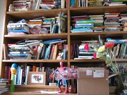 cluttered-bookshelves