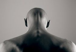 men-primitive-brain